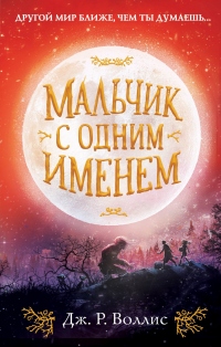 Книга Мальчик с одним именем