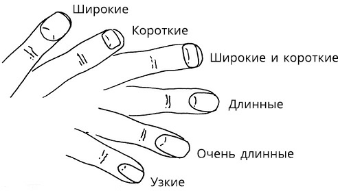 Жизнь на ладони. Хиромантия как инструмент самопознания