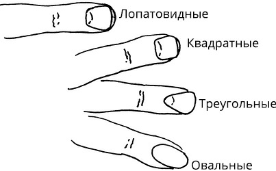 Жизнь на ладони. Хиромантия как инструмент самопознания