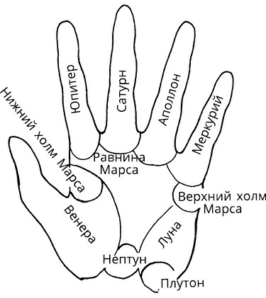 Жизнь на ладони. Хиромантия как инструмент самопознания