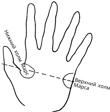 Жизнь на ладони. Хиромантия как инструмент самопознания