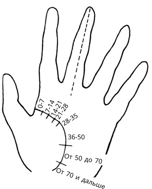 Жизнь на ладони. Хиромантия как инструмент самопознания
