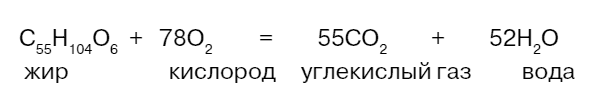 Биология для тех, кто хочет понять и простить самку богомола