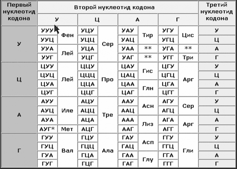 Биология для тех, кто хочет понять и простить самку богомола