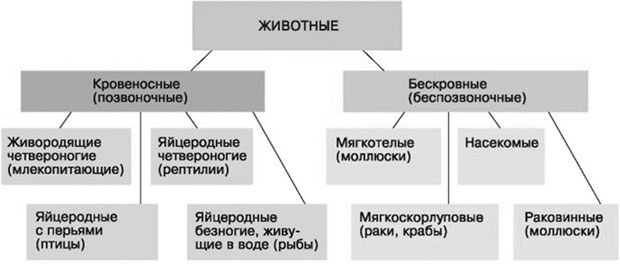 Биология для тех, кто хочет понять и простить самку богомола