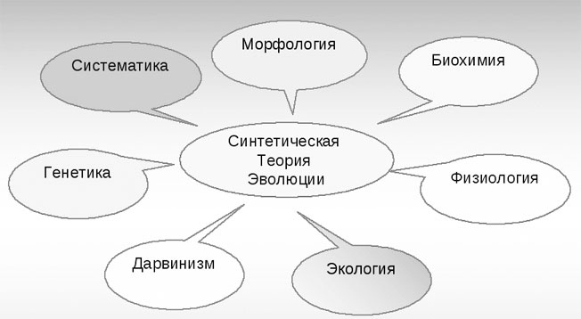 Биология для тех, кто хочет понять и простить самку богомола