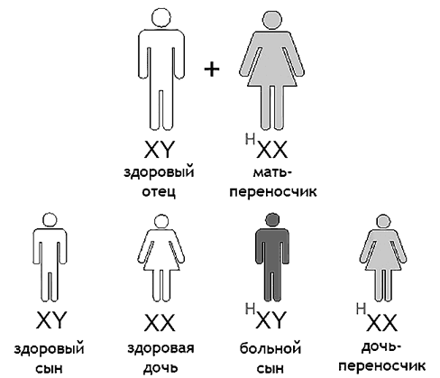 Биология для тех, кто хочет понять и простить самку богомола