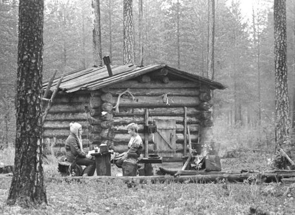 Моя тропа. Очерки о природе