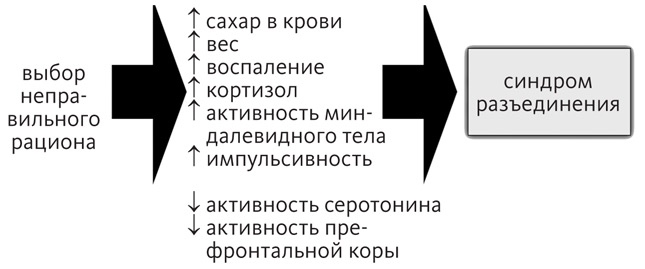 Промывка мозга. Программа для ясного мышления, укрепления отношений с людьми и развития полезных привычек