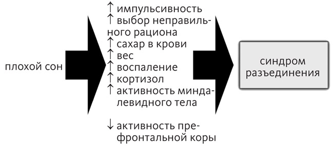 Промывка мозга. Программа для ясного мышления, укрепления отношений с людьми и развития полезных привычек