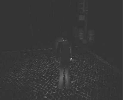 Silent Hill. Навстречу ужасу. Игры и теория страха