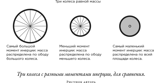 Загадка падающей кошки и фундаментальная физика