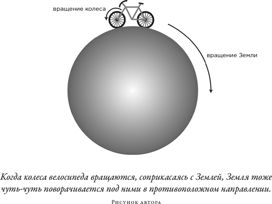 Загадка падающей кошки и фундаментальная физика