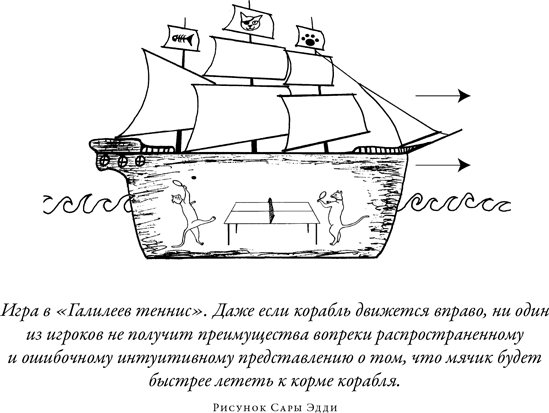 Загадка падающей кошки и фундаментальная физика