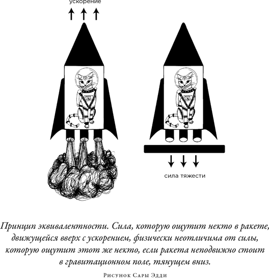 Загадка падающей кошки и фундаментальная физика