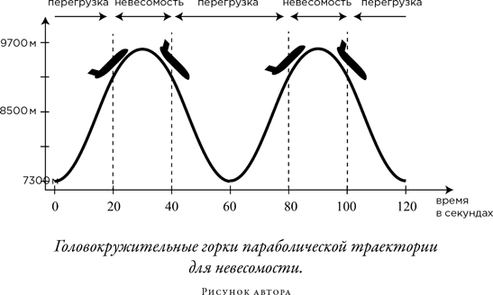 Загадка падающей кошки и фундаментальная физика