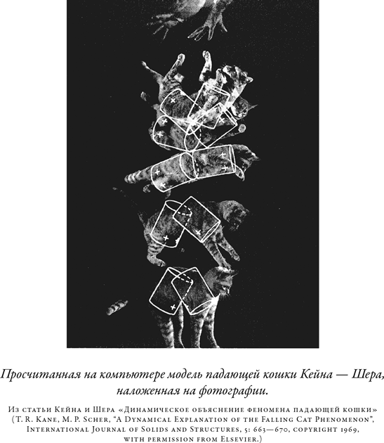 Загадка падающей кошки и фундаментальная физика