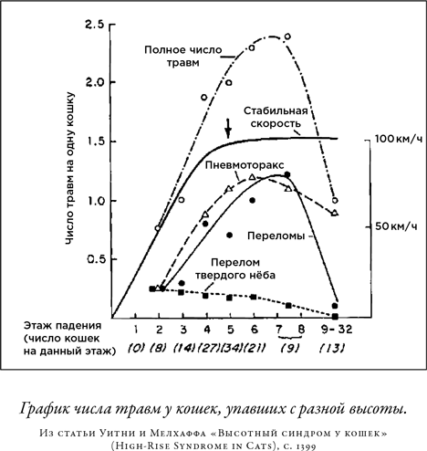 Загадка падающей кошки и фундаментальная физика