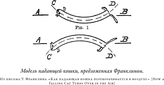 Загадка падающей кошки и фундаментальная физика