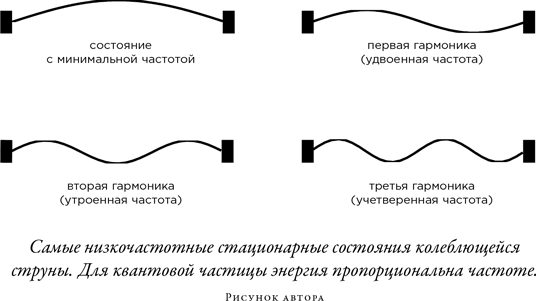 Загадка падающей кошки и фундаментальная физика