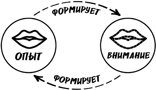 Битва за внимание. Как быть услышанным в эпоху инфошума