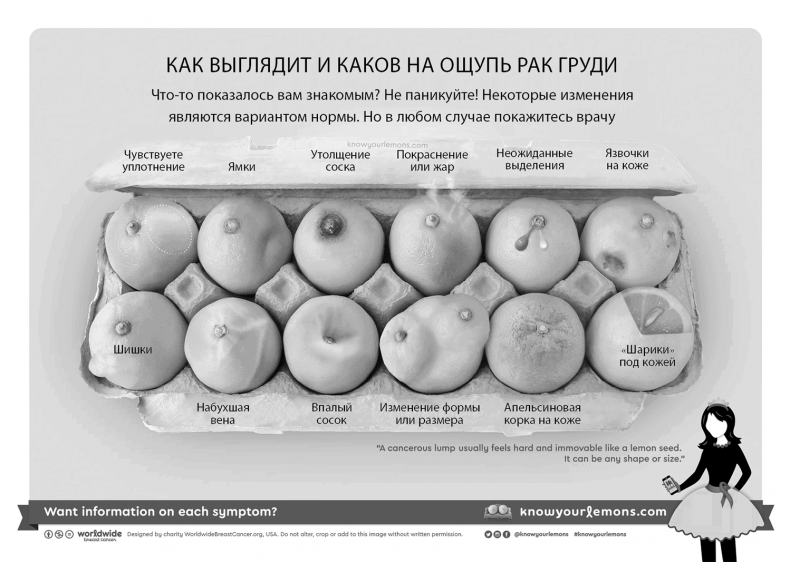 Грудь. Руководство пользователя