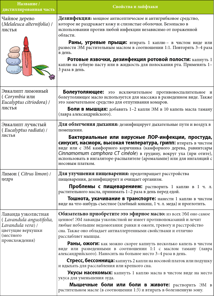 Мой блокнот. Сила растений