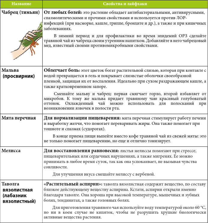 Мой блокнот. Сила растений