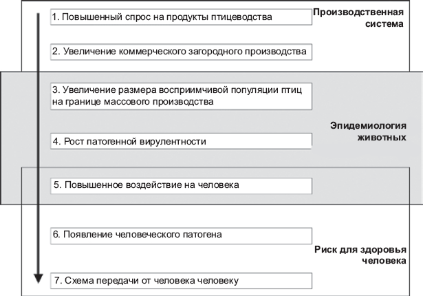 Выжить в пандемию