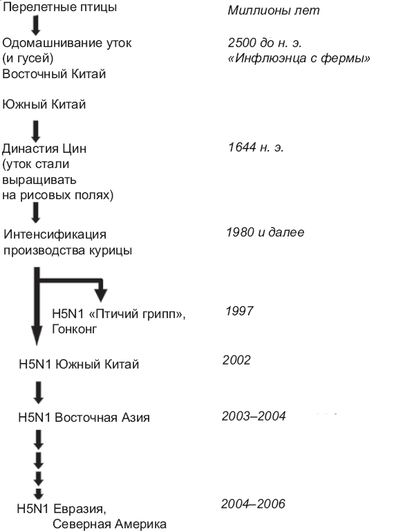 Выжить в пандемию