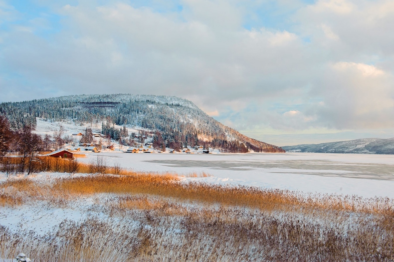 Lagom. Секрет шведского благополучия