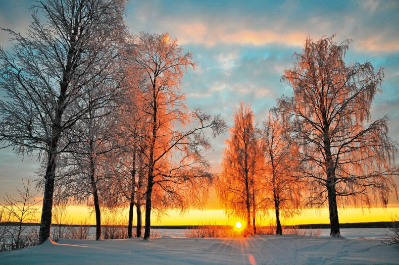 Lagom. Секрет шведского благополучия