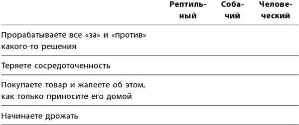 Маленькие ритуалы для больших достижений. 4 простые привычки, которые сделают вас счастливым и эффективным