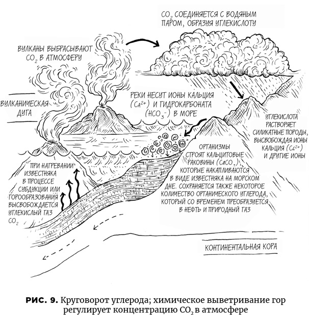 Осознание времени. Прошлое и будущее Земли глазами геолога