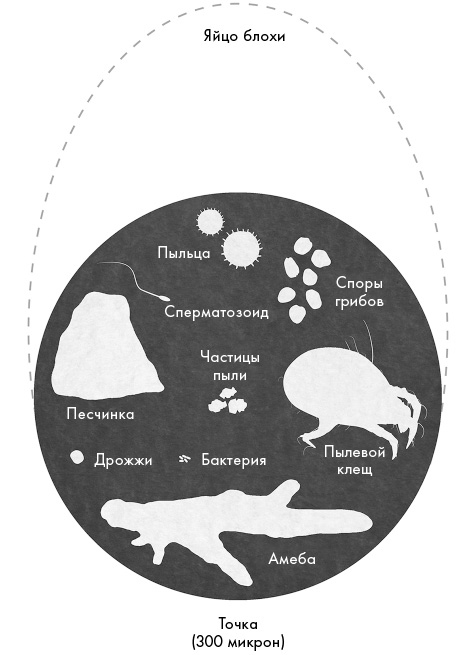 Не один дома. Естественная история нашего жилища от бактерий до многоножек, тараканов и пауков