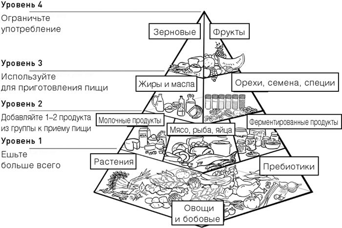 Челюсти. Научное исследование о взаимосвязи между зубами, мозгом и кишечником + 40-дневный план питания, который поможет вернуть в норму здоровье ротовой полости и сформировать иммунитет к кариесу