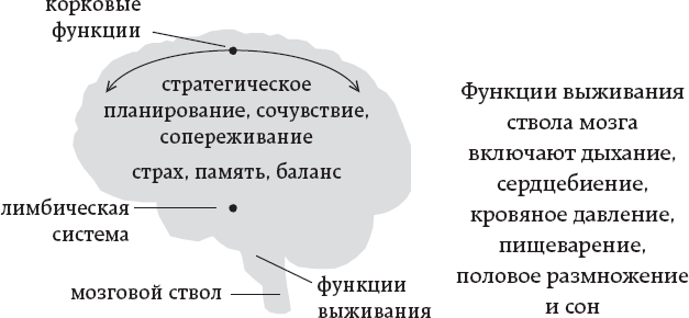 One simple thing: почему йога работает? Новый взгляд на науку йоги