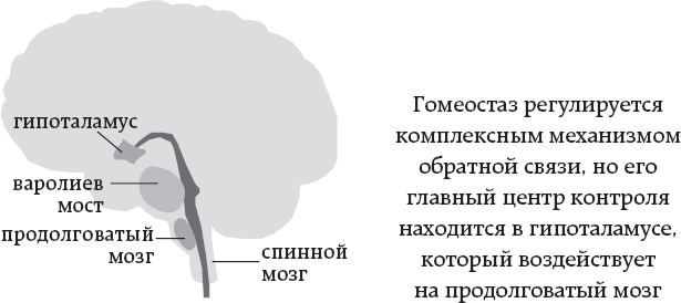 One simple thing: почему йога работает? Новый взгляд на науку йоги