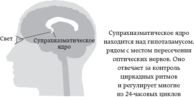 One simple thing: почему йога работает? Новый взгляд на науку йоги