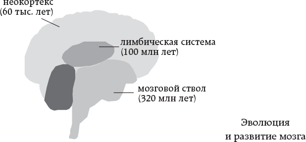 One simple thing: почему йога работает? Новый взгляд на науку йоги