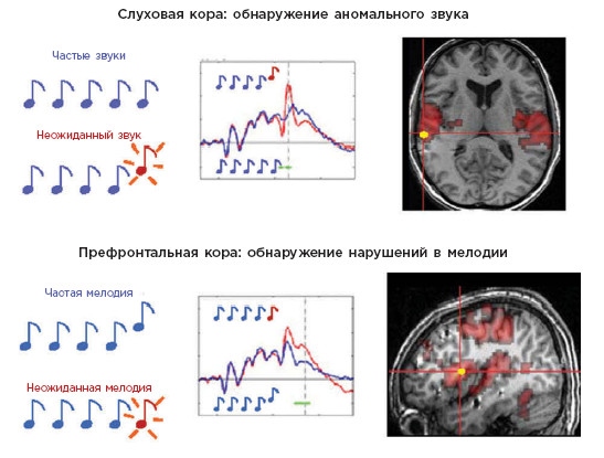 Как мы учимся. Почему мозг учится лучше, чем любая машина… пока