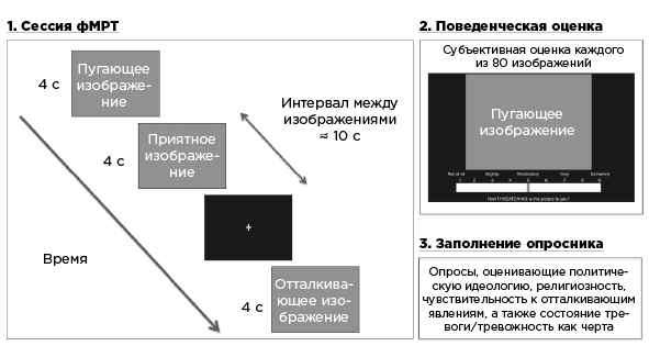 Совесть. Происхождение нравственной интуиции