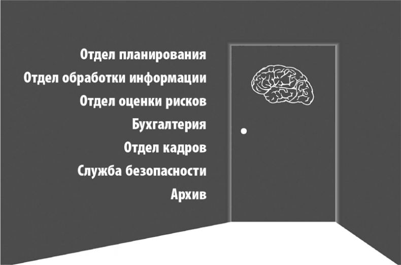 Коучинг мозга. Как мы можем использовать знания о мозге, чтобы помочь себе развиваться