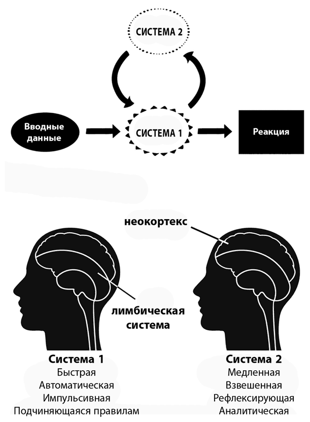 Коучинг мозга. Как мы можем использовать знания о мозге, чтобы помочь себе развиваться