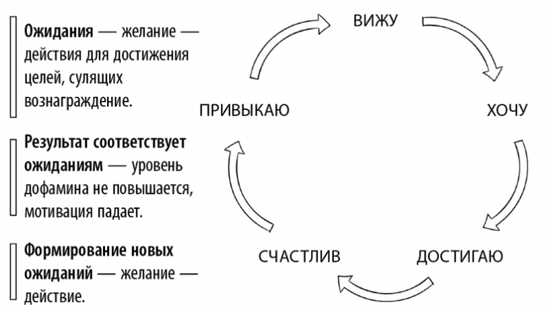 Коучинг мозга. Как мы можем использовать знания о мозге, чтобы помочь себе развиваться