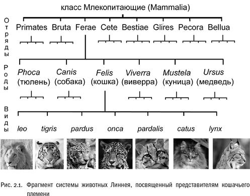 Евангелие от LUCA. В поисках родословной животного мира