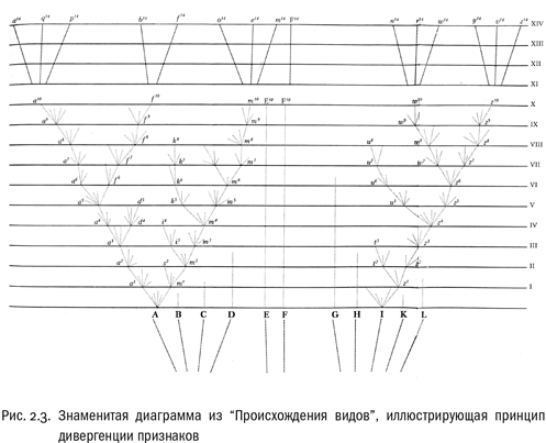 Евангелие от LUCA. В поисках родословной животного мира