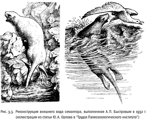 Евангелие от LUCA. В поисках родословной животного мира