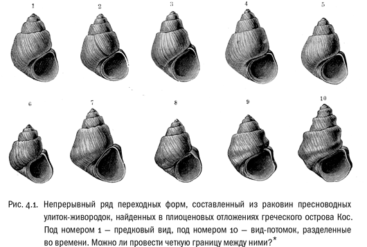 Евангелие от LUCA. В поисках родословной животного мира