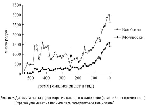 Евангелие от LUCA. В поисках родословной животного мира